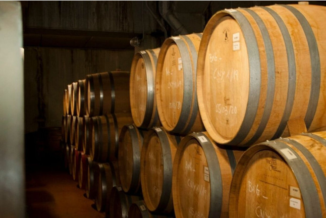 Visita a Viñedos con Cata de Vinos en BUIL & GINÉ y Comida en El Rebost de la Cartoixa para dos (Tarragona)