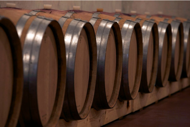 Visita Guiada por Bodega Artística, con Cata de Vinos y Aceite para dos (Lleida)