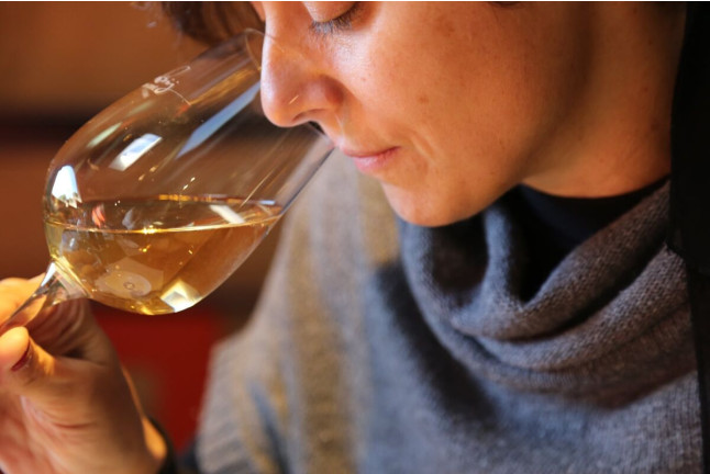Visita Guiada por Bodega Artística, con Cata de Vinos y Aceite para dos (Lleida)