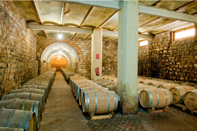 Visita a Bodega y Cata de 4 Vinos para dos en Bodega Marqués de Montecierzo (Navarra)