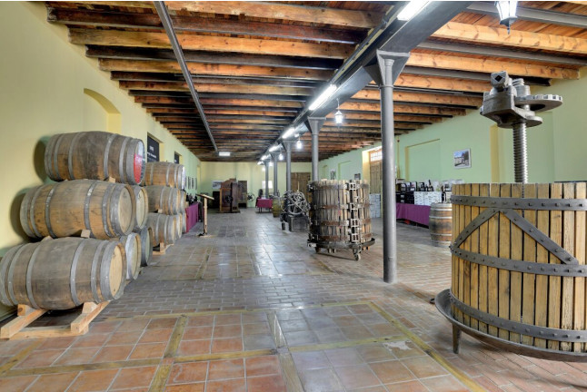 Visita a Bodega y Cata de 4 Vinos para dos en Bodega Marqués de Montecierzo (Navarra)