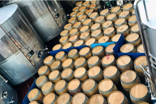 Visita a Bodega y Cata de 4 Vinos para dos en Bodega Marqués de Montecierzo (Navarra)