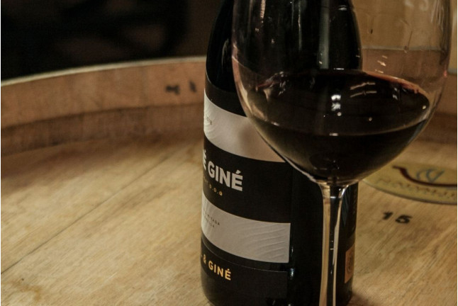 Wine & Tapas: Cata de Vinos con Tapas para dos en Bodega Buil & Giné (Tarragona)