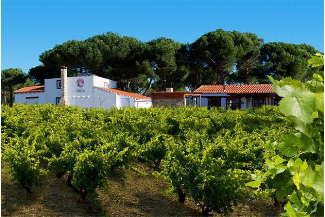 Visita a Bodega La Viña del Abuelo, Degustación de un Vino y una Tapa para dos (Toro, Zamora)