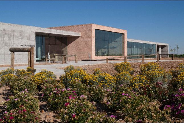 Visita a Bodega y Cata de Vinos para dos en Finca Montepedroso (Valladolid)
