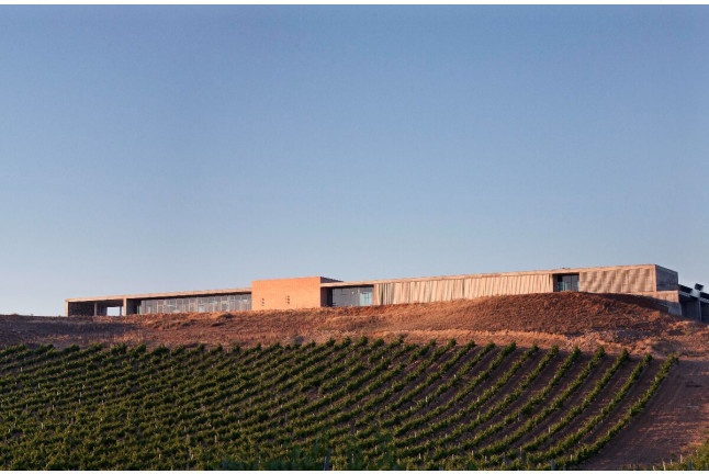 Visita a Bodega y Cata de Vinos para dos en Finca Montepedroso (Valladolid)