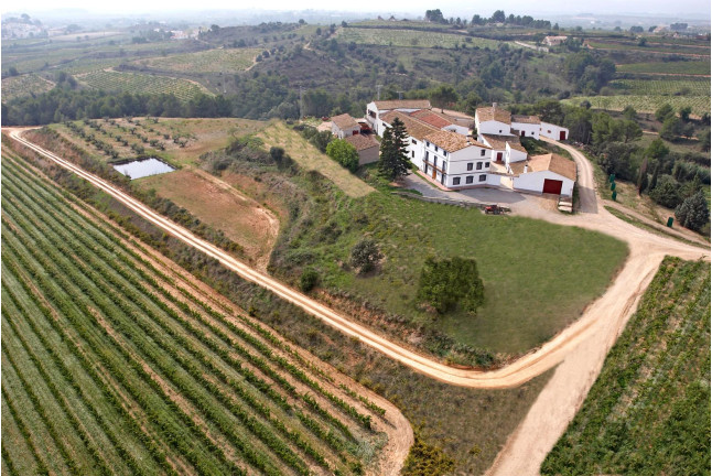 Visita a Bodega, Curso de Enología y Comida para dos (Barcelona)
