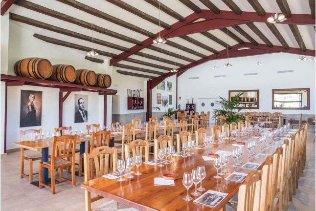 Visita a Bodega, Curso de Enología y Comida para dos (Barcelona)