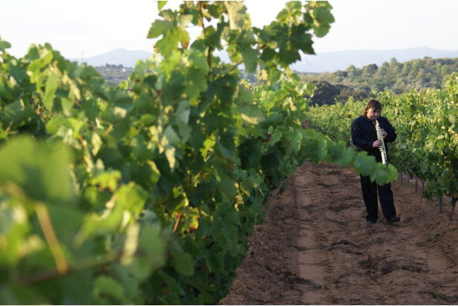 Visita a Bodega y Degustación para dos en Bodega Mayo García (Castellón)