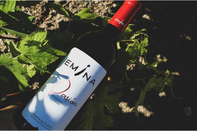Visita a Bodega y Cata de Vinos en Bodega Emina Ribera (Valladolid)