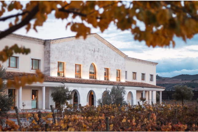 Visita a Bodega y Cata de Vinos en Bodega Emina Ribera (Valladolid)