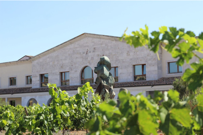 Visita a Bodega y Cata de Vinos en Bodega Emina Ribera (Valladolid)