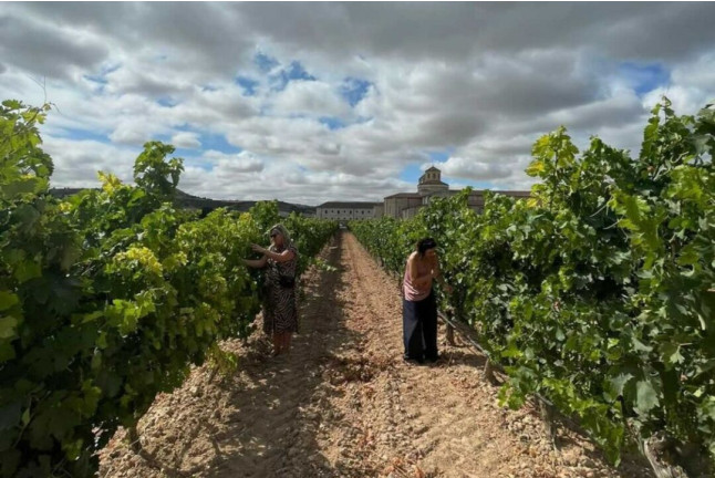Visita a Bodega y Cata de Vinos en Bodega Emina Ribera (Valladolid)