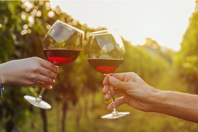 Visita a Bodega Pago de Almaraes con Degustación de Vinos y Embutidos de la zona para dos (Benalúa, Granada)