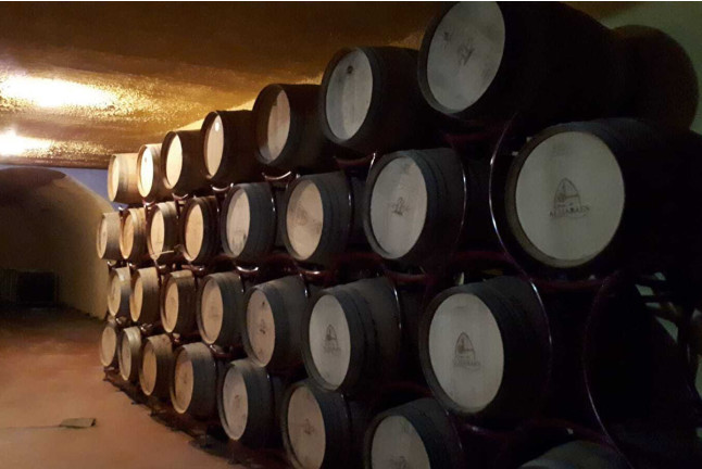 Visita a Bodega Pago de Almaraes con Degustación de Vinos y Embutidos de la zona para dos (Benalúa, Granada)