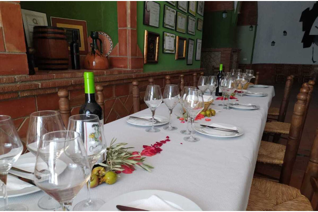 Visita a Bodega Pago de Almaraes con Degustación de Vinos y Embutidos de la zona para dos (Benalúa, Granada)