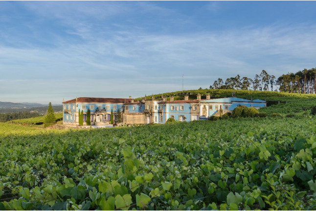 Visita a Bodega Granbazán, Cata de Vinos y Comida para dos (Vilanova de Arousa, Pontevedra)