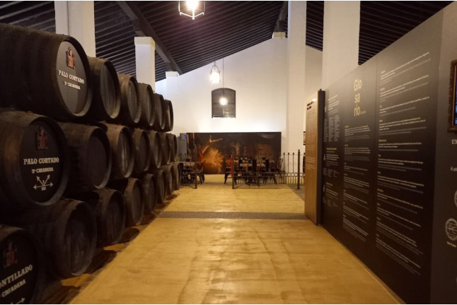 Visita Guiada a Bodega Cayetano del Pino con Cata de Vinos para dos (Jerez de la Frontera, Cádiz)