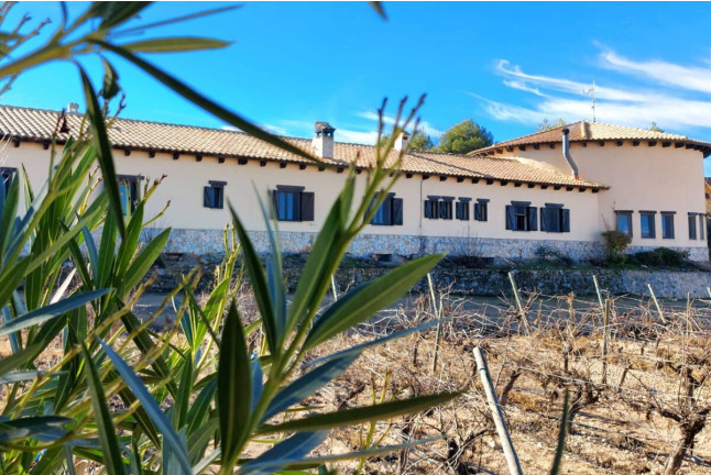 Ruta del Vino: Visita a Bodega Mainetes, Cata de Vino y Tapas para dos (Fuente Álamo, Albacete)