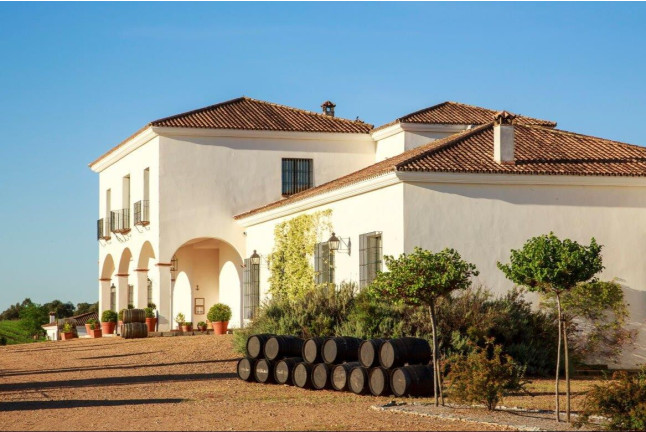 Visita a Bodega con Cata de Vinos y Escapada Romántica en Hotel 4* con Spa y Cena (Badajoz)