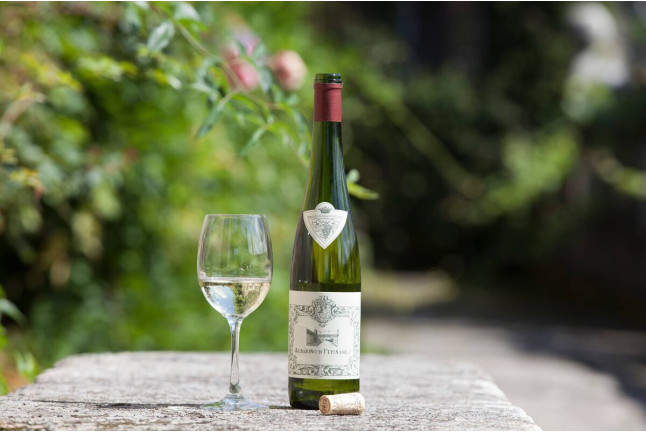 Visita con Cata de Vino Albariño para dos en Bodegas del Palacio de Fefiñanes (Cambados, Pontevedra)