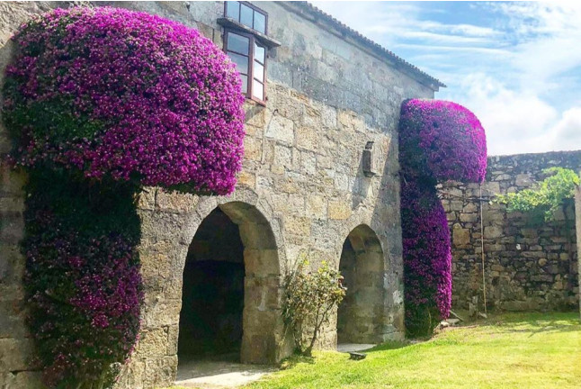 Visita con Cata de Vino Albariño para dos en Bodegas del Palacio de Fefiñanes (Cambados, Pontevedra)