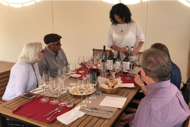 Visita a Bodega con Degustación y Aperitivo y Spa en Hotel Spa Tudanca Aranda 4* para dos (Aranda de Duero, Burgos)