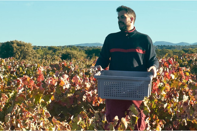 Visita a Bodega con Degustación y Aperitivo y Spa en Hotel Spa Tudanca Aranda 4* para dos (Aranda de Duero, Burgos)