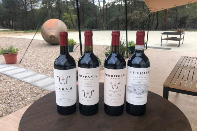 Visita a Bodega con Degustación y Aperitivo y Spa en Hotel Spa Tudanca Aranda 4* para dos (Aranda de Duero, Burgos)