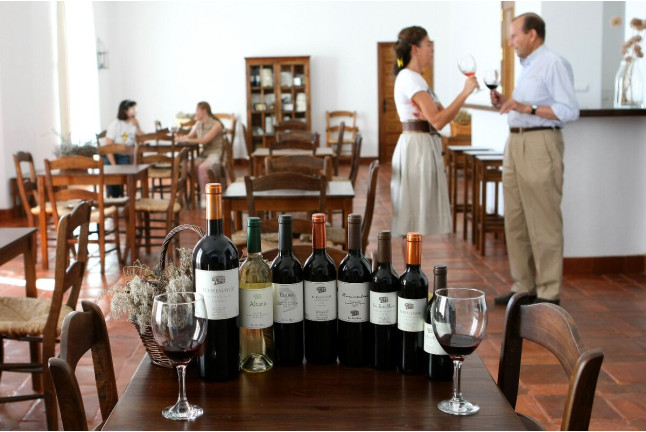 Visita a Bodega Valdealto con Cata de Vinos y Circuito Spa con Comida o Cena para dos en Hotel Balneario El Raposo 4* (Badajoz)