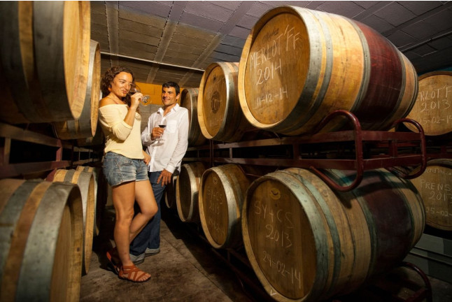 Visita a Bodega, Cata de Vinos, Aperitivo y Comida para dos en Cellers Baronia del Montsant (Cornudella de Montsant, Tarragona)