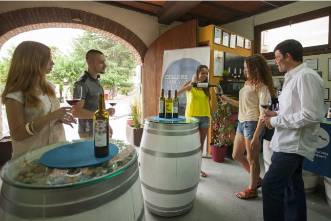 Visita a Bodega, Cata de Vinos, Aperitivo y Comida para dos en Cellers Baronia del Montsant (Cornudella de Montsant, Tarragona)