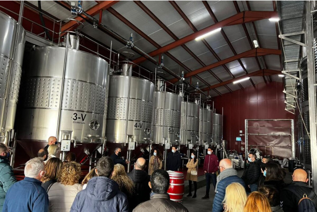 Visita a Bodega Vega Tolosa y Cata Comentada de Vinos  (Casas Ibáñez, Albacete)