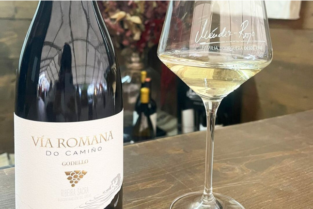 Visita a Bodega Via Romana y Viñedos con Cata de 3 Vinos para dos (Lugo)