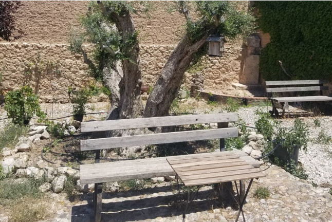 Visita a Bodegas Arbás, Viñedos y Cata de 2 Vinos con Quesos y Embutidos para dos (Valladolid)
