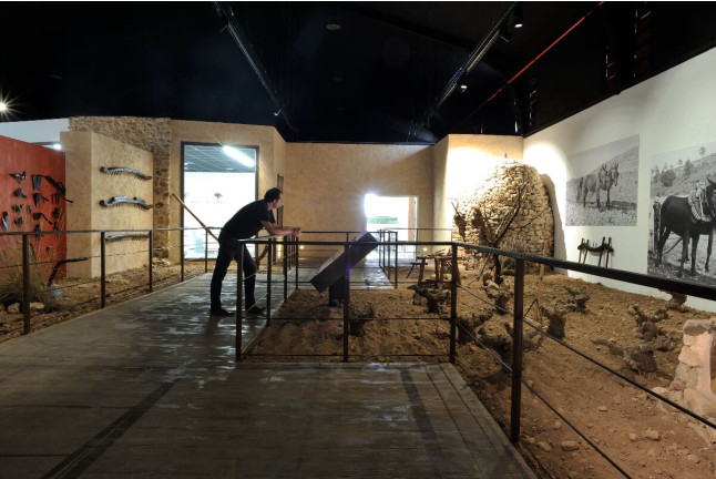 Visita al Museo del Vino con Cata y Tapas para dos en Hacienda del Carche / Casa de la Ermita (Jumilla, Murcia)