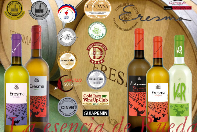 Visita a Bodegas La Soterraña con Cata de Vinos y Aperitivo para dos (Olmedo, Valladolid)