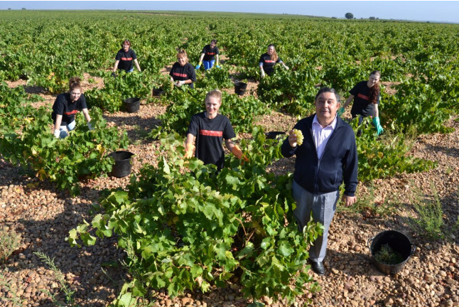 Visita a Bodegas La Soterraña con Cata de Vinos y Aperitivo para dos (Olmedo, Valladolid)