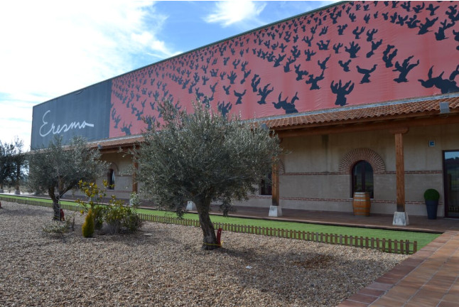 Visita a Bodegas La Soterraña con Cata de Vinos y Aperitivo para dos (Olmedo, Valladolid)