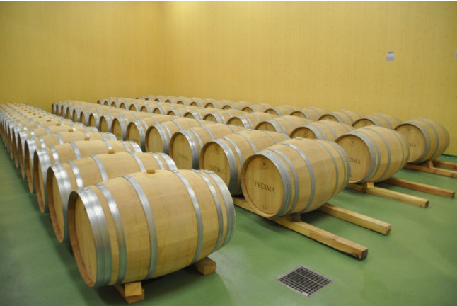 Visita a Bodegas La Soterraña con Cata de Vinos y Aperitivo para dos (Olmedo, Valladolid)