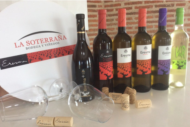 Visita a Bodegas La Soterraña con Cata de Vinos y Aperitivo para dos (Olmedo, Valladolid)