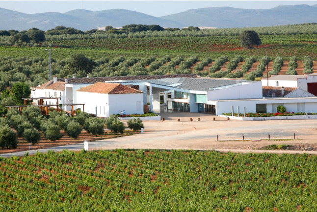 Bodegas Real: Visita a Viñedos y Bodega con Cata de Vinos, 2 Botellas de Vino y Comida para dos (Valdepeñas, Ciudad Real)