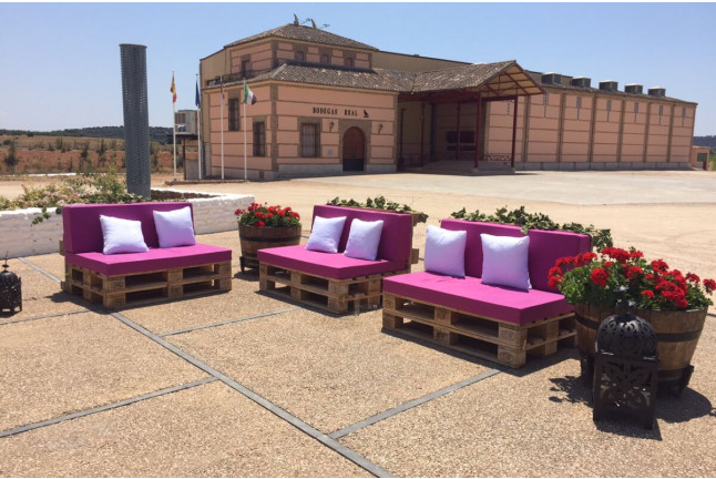 Bodegas Real: Visita a Viñedos y Bodega con Cata de Vinos, 2 Botellas de Vino y Comida para dos (Valdepeñas, Ciudad Real)