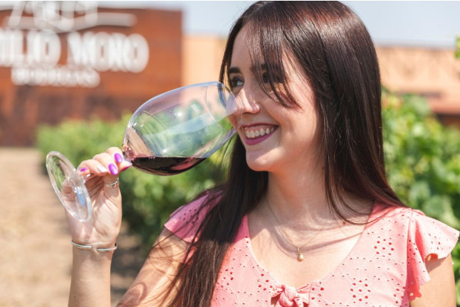 El Vino Te Habla: Visita a Bodega, Aperitivo y Cata de Vino en Bodegas Emilio Moro (Valladolid)