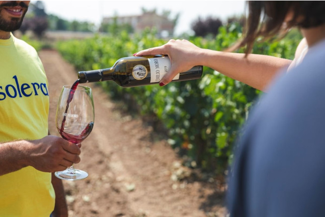 El Vino Te Habla: Visita a Bodega, Aperitivo y Cata de Vino en Bodegas Emilio Moro (Valladolid)