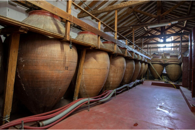 Visita a Bodegas Jesús Díaz e Hijos con Cata de 3 Vinos para dos (Colmenar de Oreja, Madrid)