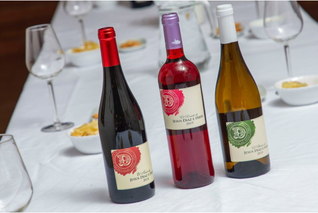 Visita a Bodegas Jesús Díaz e Hijos con Cata de 3 Vinos para dos (Colmenar de Oreja, Madrid)