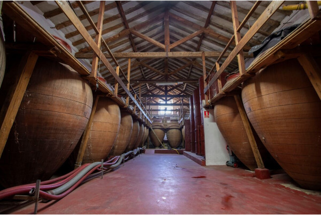 Visita a Bodegas Jesús Díaz e Hijos con Cata de 3 Vinos para dos (Colmenar de Oreja, Madrid)