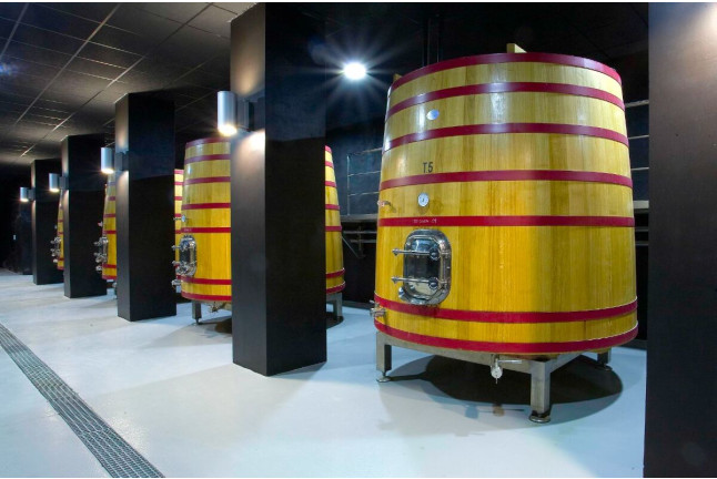 Visita y Cata de Vino y de Ibéricos para dos en Bodegas Perica (La Rioja) 