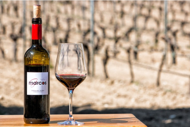 Visita a Bodegas Marcos y Cata de Vinos con Aperitivos amenizada con Magia para dos (Peñafiel, Valladolid)